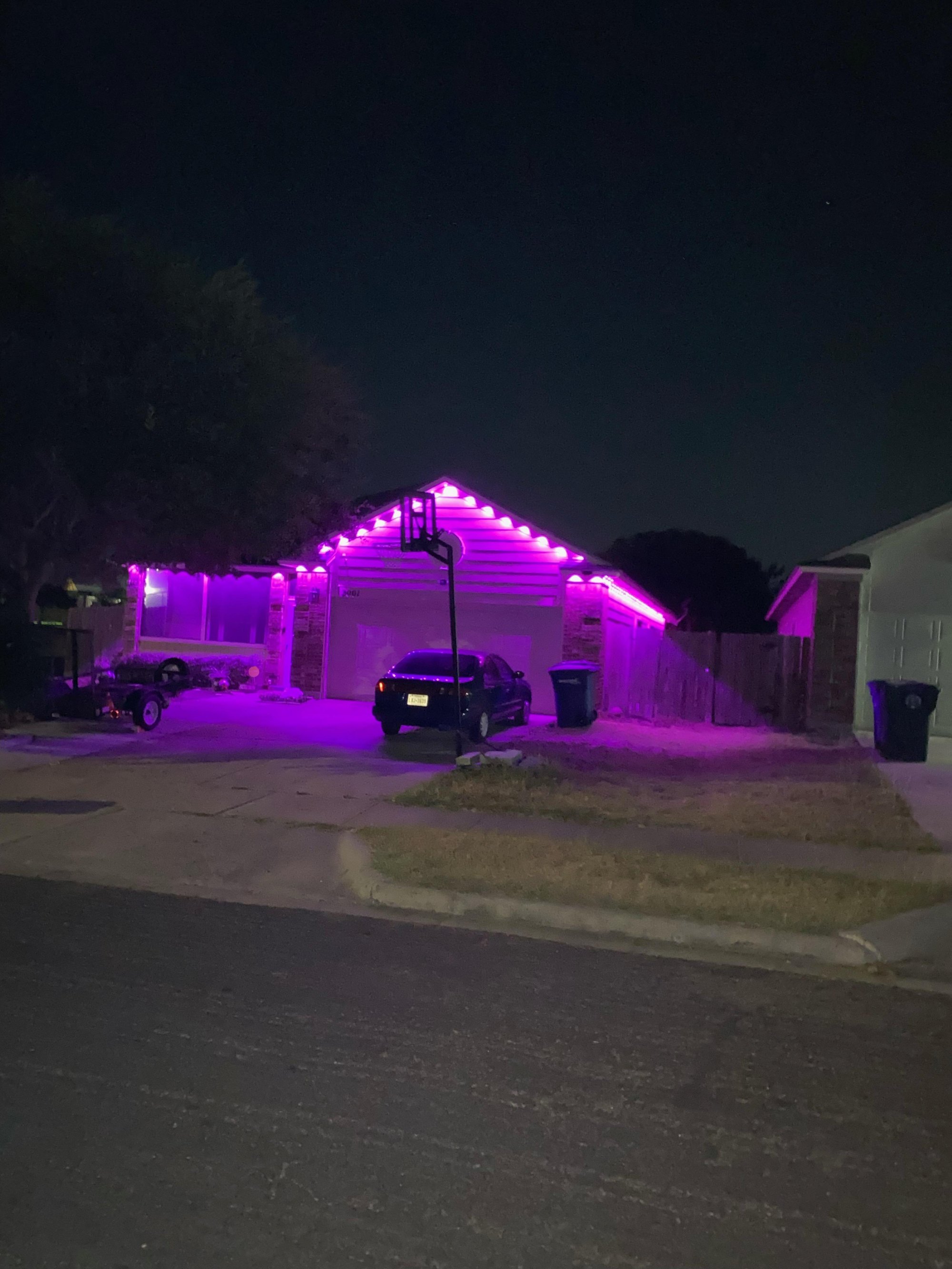 Entry Series — Magenta & Blue Night Scene