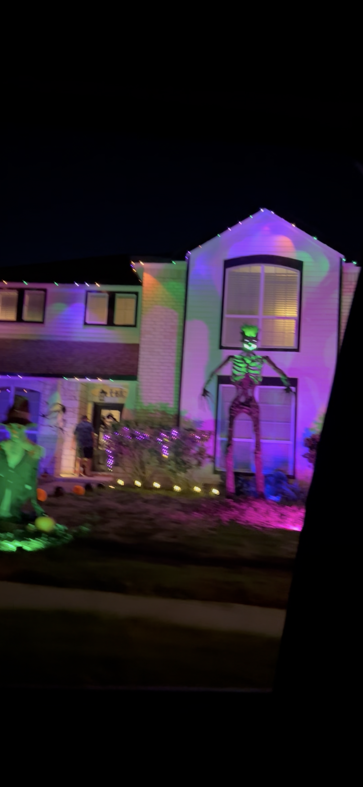 Halloween Full Wrap Display