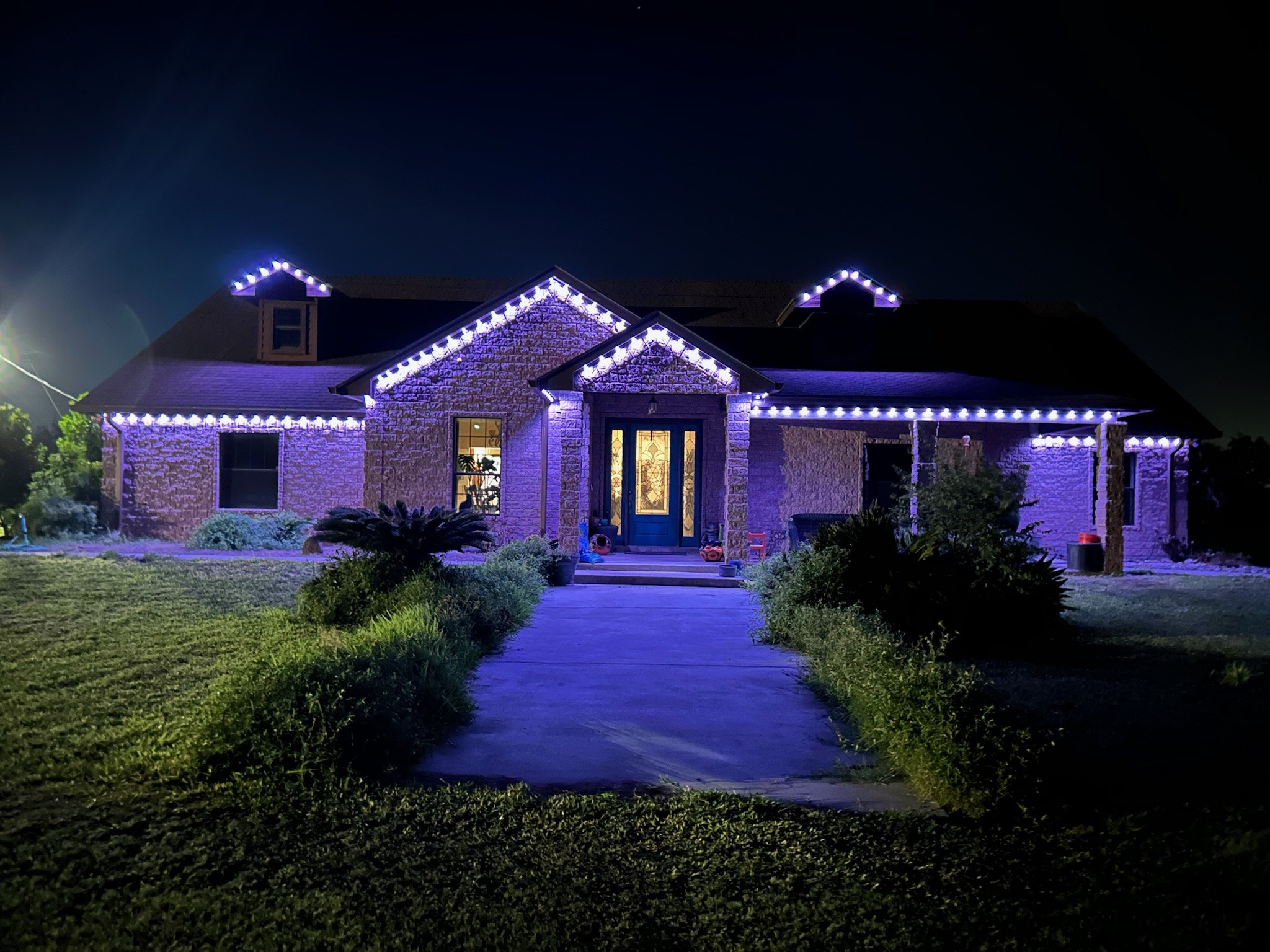 Signature Series — Night Elegance